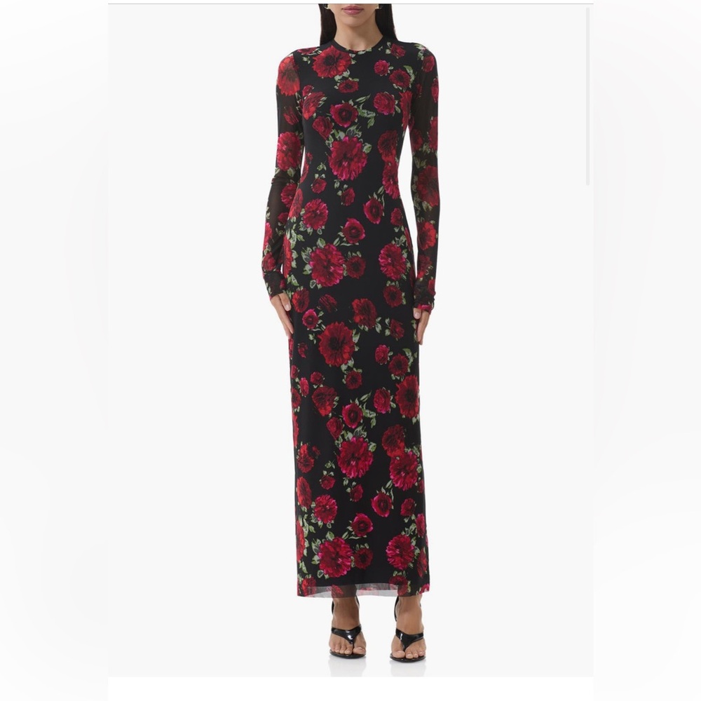 AFRM Didi printed long sleeve mesh maxi dress